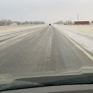 Meet your Posher, Misty